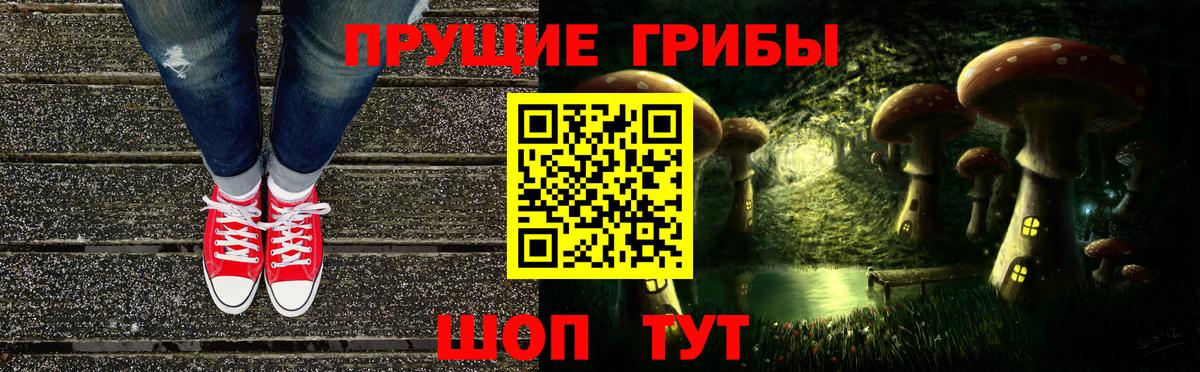 Псилоцибиновые грибы мицелий Томск